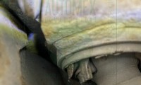 Automex. Dobry warsztat w Pruszczu Gdańskim, Krótka 13, www.automex.auto.pl