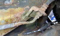 www.automex.auto.pl