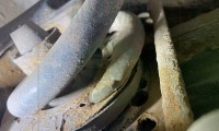 Automex, Dobry Warsztat w Pruszczu Gdańskim, Krótka 13, www.automex.auto.pl
